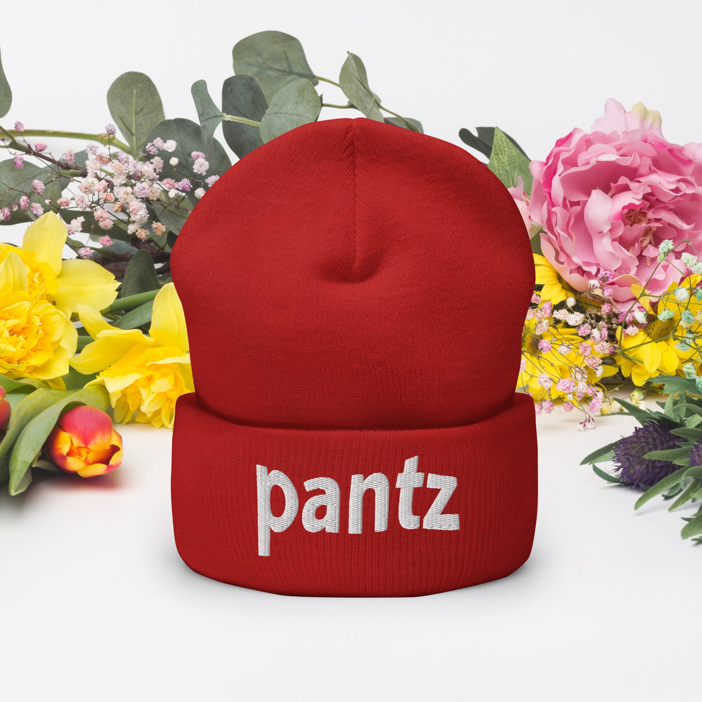Cuffed Beanie