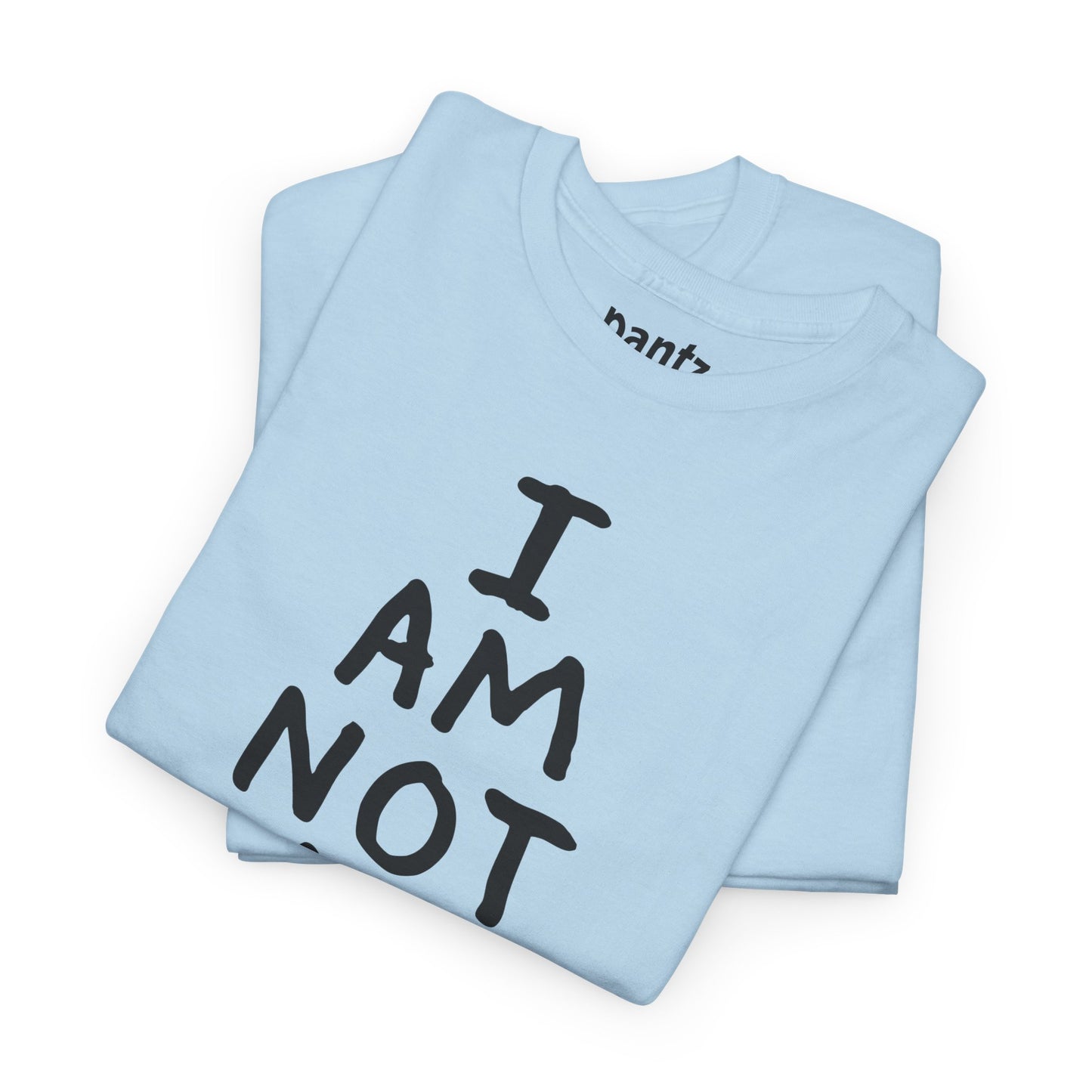 I Am Not An Artist Anymore - Graphic Tee