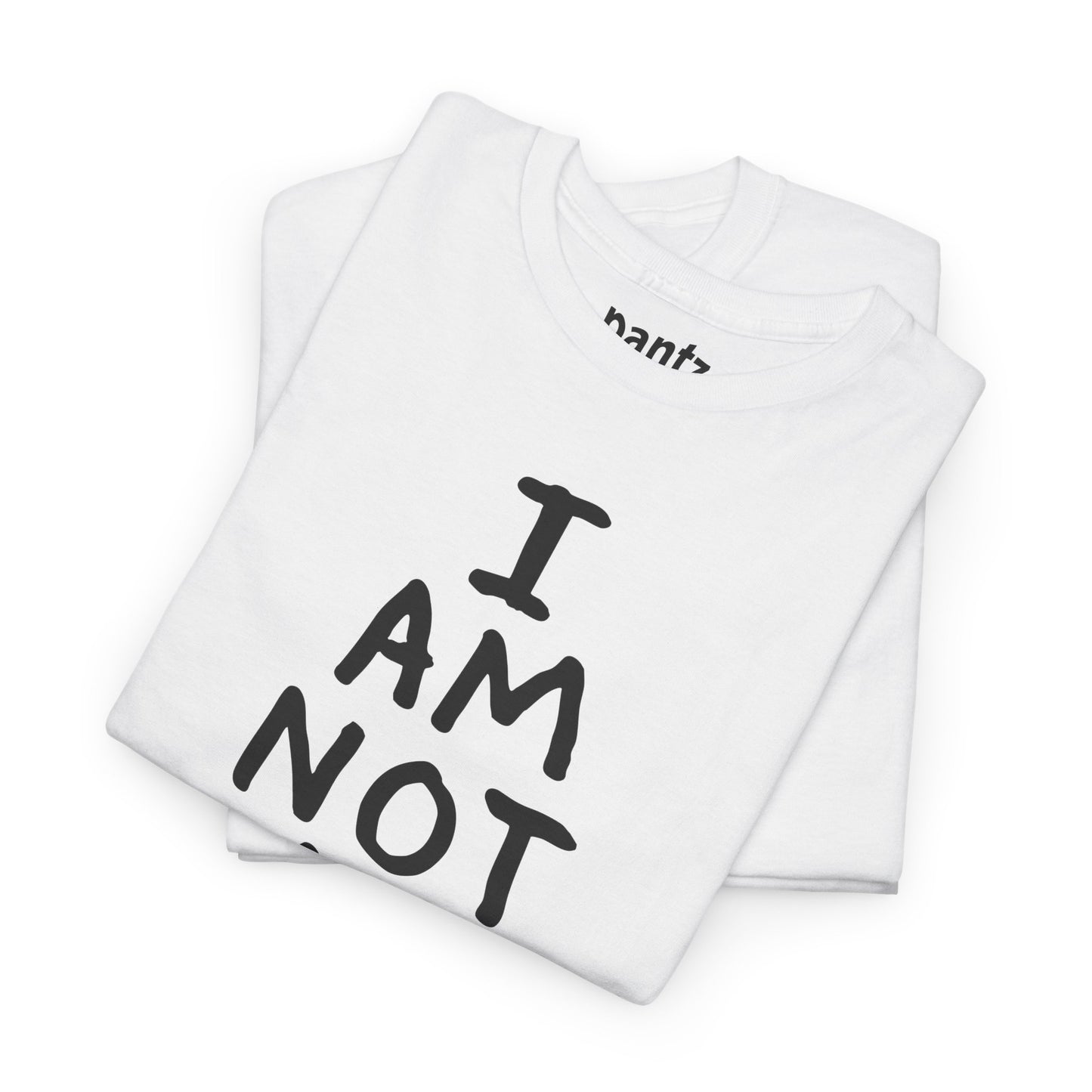 I Am Not An Artist Anymore - Graphic Tee