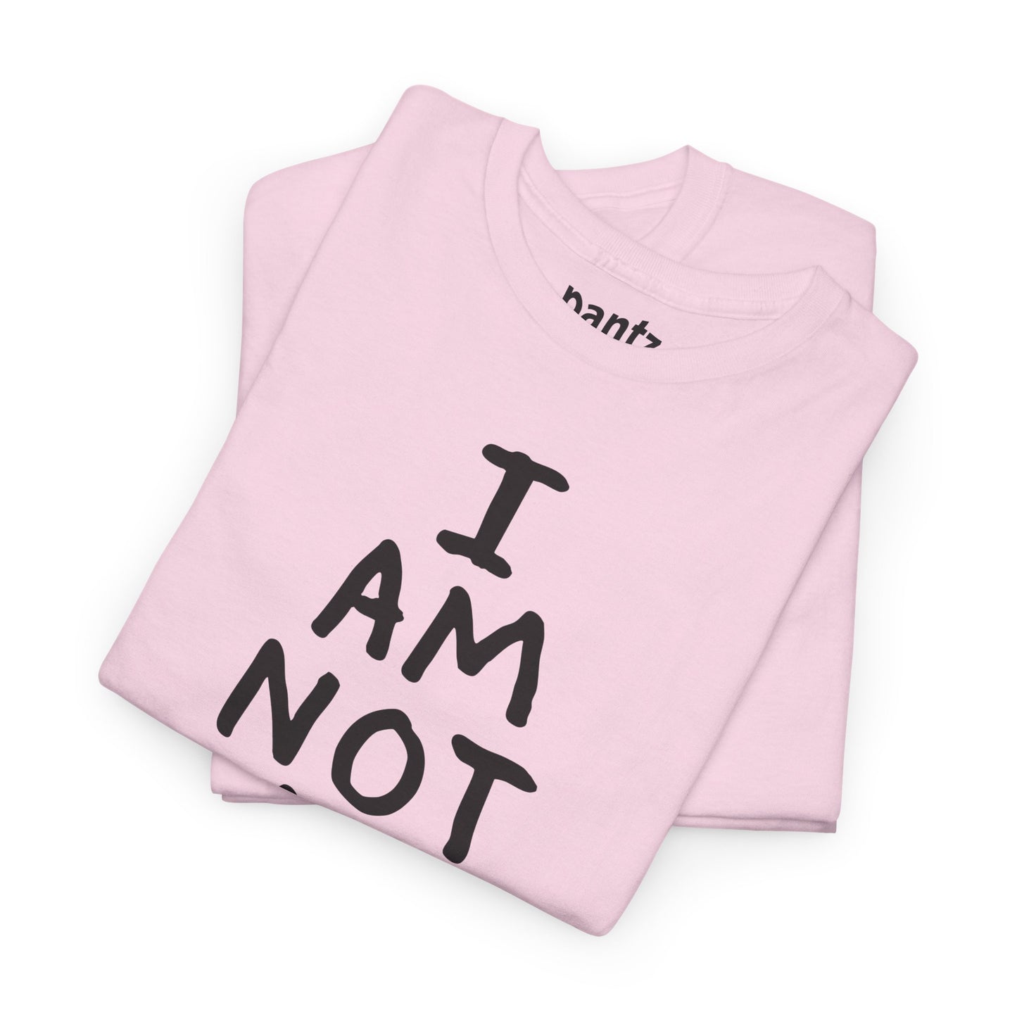 I Am Not An Artist Anymore - Graphic Tee