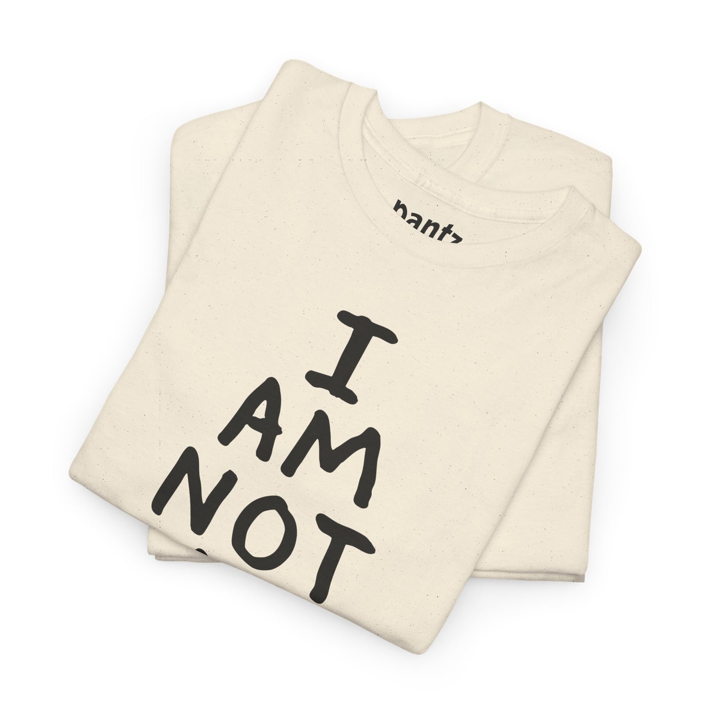 I Am Not An Artist Anymore - Graphic Tee
